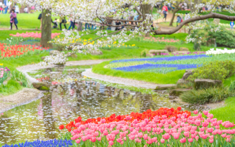 桜舞う、色とりどりの春