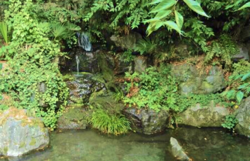 龍津寺の湧水