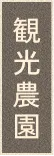 観光農園