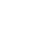 PDF Icon